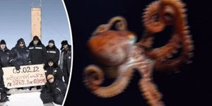 Британские СМИ обвинили Россию в использовании гигантского осьминога-убийцы