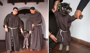 Самый необычный монах: обычная дворняга стала послушником в католическом монастыре