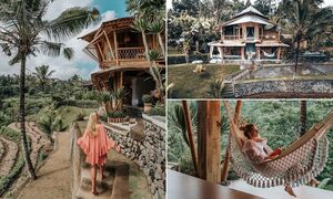 Путешественники отправляются в "волшебный" бамбуковый домик на дереве, спрятанный в тропическом лесу