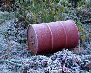 Ошибки при подготовке сада к зиме: садовые конструкции, постройки и оборудование