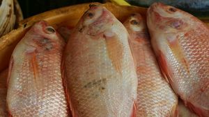 Как можно не испортить блюдо из жареной рыбы: советы опытных поваров