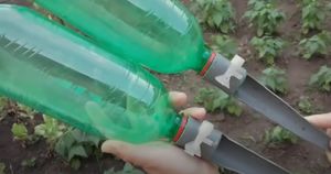 Удобная капельная система полива из обыкновенной бутылки своими руками