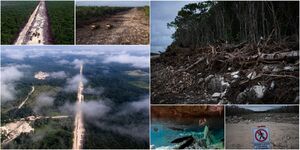 Поезд Майя: пещеры, сеноты и реки, впадающие в Карибский бассейн, находятся под угрозой исчезновения