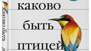ТОП-5 увлекательных книг о птицах