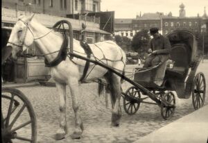 СССР 1931 года: 20 уникальных ретро фотографий из путешествия Брэнсона Деку по Советскому Союзу