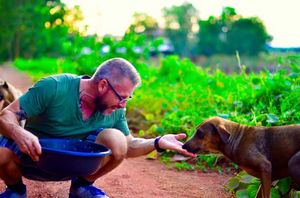 Мужчина помогает бездомным собакам в Таиланде, до которых никому нет дела!