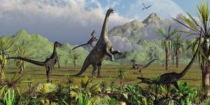 Археологи обнаружили в Австралии новый вид гигантских травоядных динозавров. Динозавры