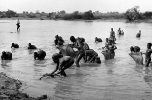 30 ретро-снимков из путешествия по Западной Африке в 1933-1934 годах