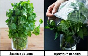 Лайфхаки, которые с легкостью решают бытовые проблемы