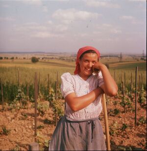 1952. Сельская Австрия на снимках Пола Алмези