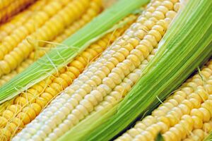 Секрет приготовления кукурузы за 20 минут и добиться ее мягкости
