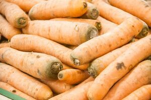 Что приготовить из моркови – рецепт невероятного паштета