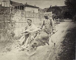 1870-е. Китай на снимках из коллекции Ивана Семеновича Полякова