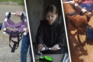 Школьница мастерит бесплатные инвалидные коляски для травмированных животных