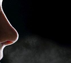 Диагностика рака по дыханию: Электронный нос распознает признаки заболевания