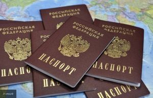 Захарова: "выборная" страница в паспорте РФ "убьет" явку избирателей