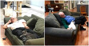 История большого сердца: дедушка покорил интернет тем, что засыпает с кошками в местном приюте