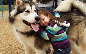 Дети и их 4-лапые друзья