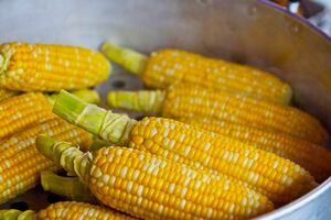 Правила консервации кукурузы на зиму