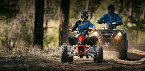 Любопытное о квадроциклах