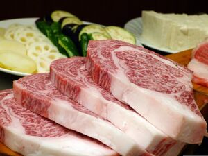 Как разморозить мясо крупным куском за десять минут не используя микроволновку