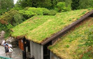 Зачем в скандинавских странах на крышах домов растят траву
