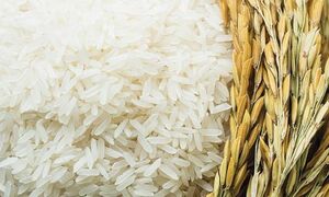 Рисовые зерна прибавят здоровья и жизненной силы...
