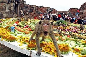 Большой обезьяний праздник в Таиланде