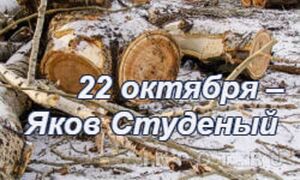 22 октября:  День Якова Студеного