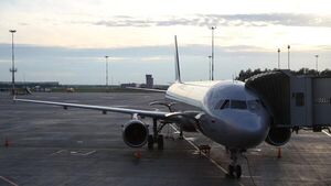 «Аэрофлот» остановил онлайн-регистрацию и продажу субсидированных билетов
