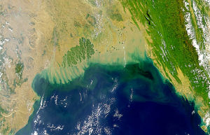 В Индийском океане найдена огромная «мертвая» зона. Таких зон с каждым годом все больше