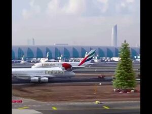 В аэропорту Дубая олени помогли самолету взлететь