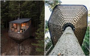В Норвегии открылся эко-отель, номера которого «обнимают» огромные сосны