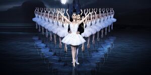 Когда был придуман балет Чайковского Лебединое озеро – история создания
