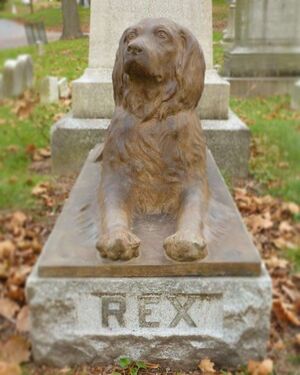 Почему на эту 100-летнюю могилу собаки люди до сих пор кладут палки