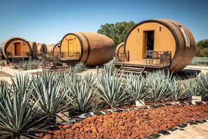 Мексиканцы предлагают отдых в гигантской бочке, устроившейся среди плантаций агавы