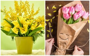 5 советов, которые помогут выбрать красивые цветы к 8 Марта