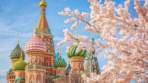 Цветущая Россия: где и когда полюбоваться красивыми садами