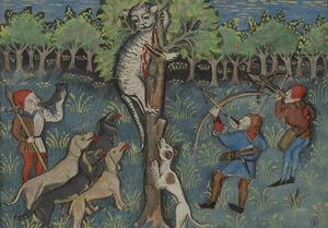 Кто и почему устроил кошачий геноцид в средневековой Европе