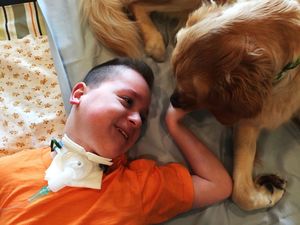 Мальчик, который не может ходить, впервые улыбается благодаря собаке.