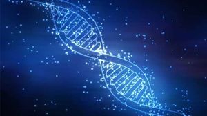 Созданы «наномышцы», приводимые в действие цепочками молекул ДНК