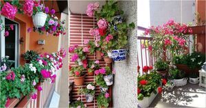 Зеленый оазис в квартире: если у вас нет дачи, просто превратите свой балкон в сад
