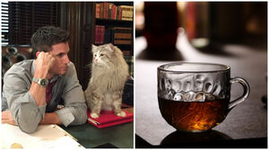 5 бытовых привычек, за которыми часто кроется глубинная психологическая подоплёка