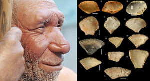 Самые древние дайверы: Учёные выяснили, для чего неандертальцы ныряли на большие глубин