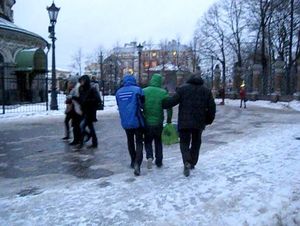В Петербурге у уличных фотографов забрали трех енотов и еще одну сову