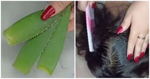 Индийский секрет длинных и густых волос. Маска от выпадения волос