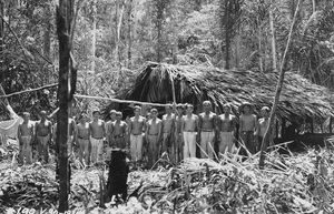 Как Генри Форд хотел покорить джунгли Амазонки: Самый амбициозный провалившийся проект XX века