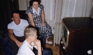 Почему тысячи британских семей до сих пор смотрят черно-белые телевизоры