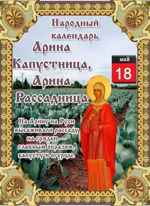 18 мая – Арина Капустница