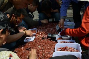 Зачем китайцы покупают камни, или Сколько стоит обычная галька в Поднебесной